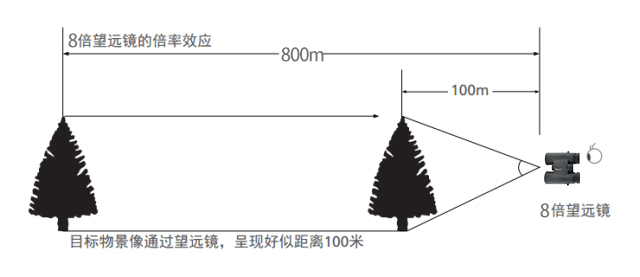8倍倍率.jpg