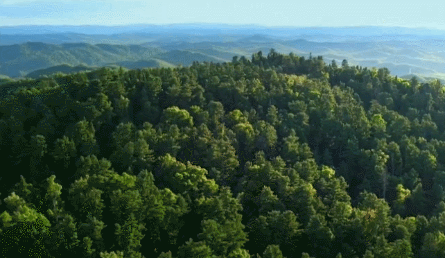 26c8I3wvRcPBZiA8bZSdghU8oXDyFXA1.gif